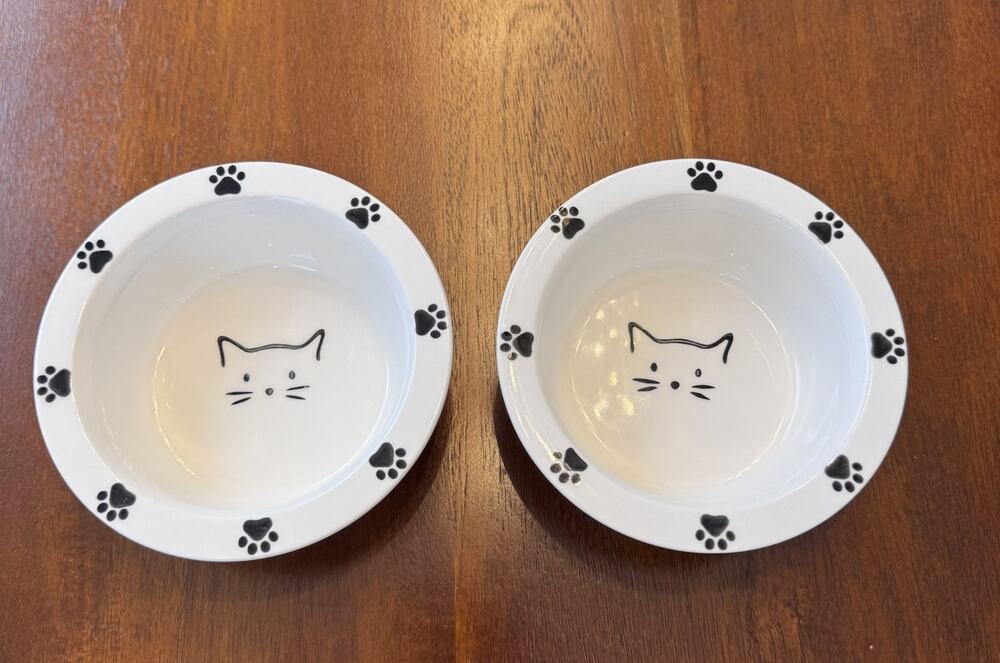 Cat Faces Signature Housewares Incorporated Stoneware Food & Water Bowls Set